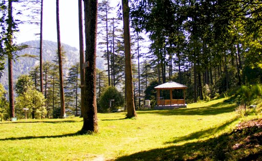 Mussoorie & dhanaulti tour