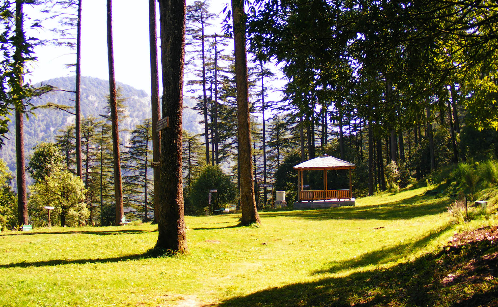 Mussoorie & dhanaulti tour