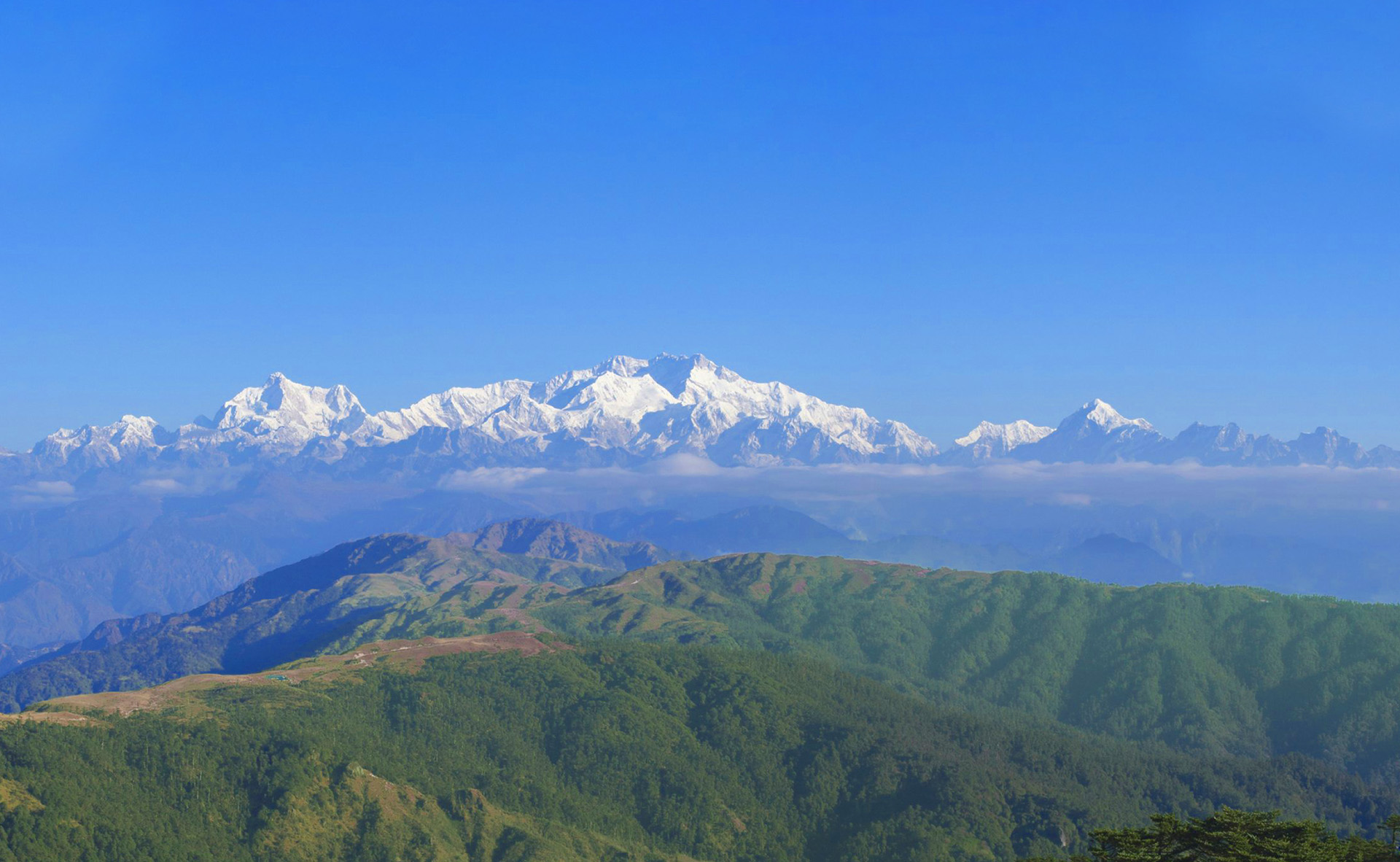 Discover kumaun hills tour